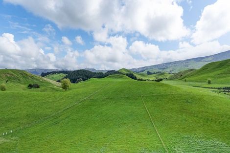 Photo of property in 437 Pinfold Road, Papatawa, 4998