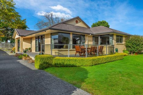 Photo of property in 6b North Street, Morrinsville, 3300