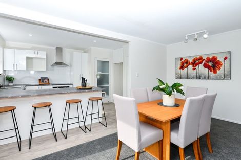 Photo of property in 18 Patrick Place, Fitzroy, Hamilton, 3206