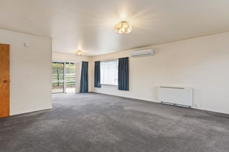 Photo of property in 95 Alfred Street, Blenheim, 7201