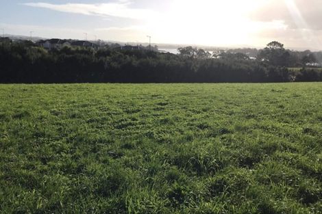 Photo of property in 14 Wheriko Avenue, Glenbrook, Waiuku, 2681