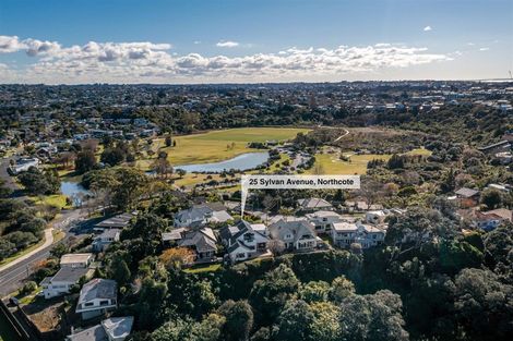 Photo of property in 25 Sylvan Avenue, Northcote, Auckland, 0627