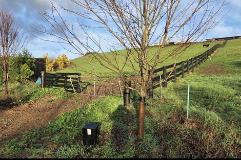 Photo of property in 62 Grace James Road, Pukekohe, 2120