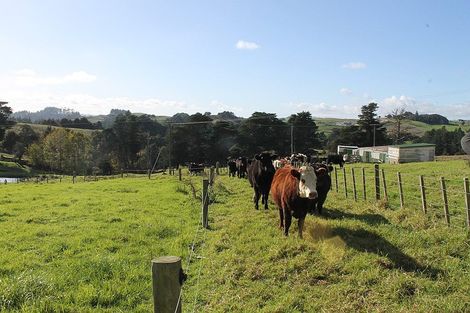 Photo of property in 70 Biddle Road, Wellsford, 0973