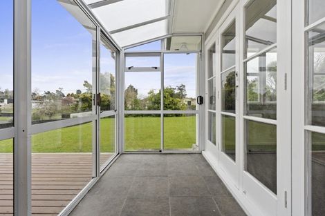 Photo of property in 46 Bruce Avenue, Glenview, Hamilton, 3206