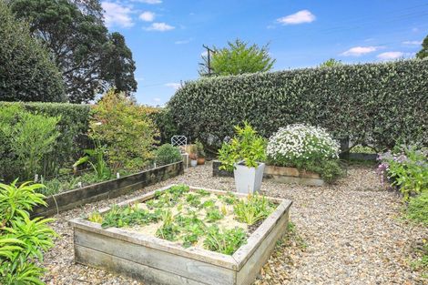 Photo of property in 7 Knighton Road, Hillcrest, Hamilton, 3216