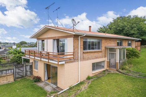 Photo of property in 12 Thornton Street, Putaruru, 3411