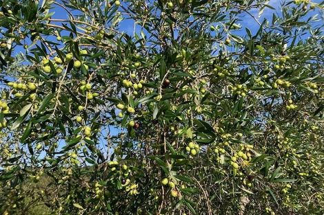 Photo of property in 101 Pukenui Road, Ngunguru, Whangarei, 0173