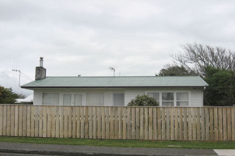 Photo of property in 38 Power Street, Levin, 5510