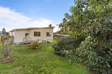 Photo of property in 3b Seddon Street, Te Puke, 3119