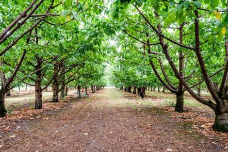 Photo of property in 200 Longlands Road, Longlands, Hastings, 4172