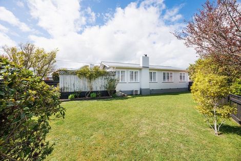 Photo of property in 39 Andrew Street, Feilding, 4702
