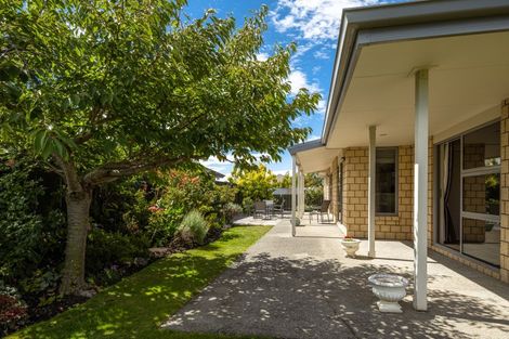 Photo of property in 42 Tremorne Avenue, Blenheim, 7201