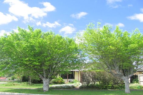 Photo of property in 38 Haszard Street, Waihi, 3610