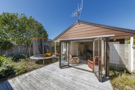 Photo of property in 237 Vogel Street, Roslyn, Palmerston North, 4414