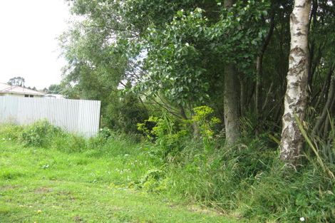 Photo of property in 47 Queen Street, Raetihi, 4632