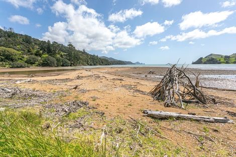 Photo of property in 60 Carey Road, Port Charles, Coromandel, 3584