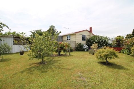 Photo of property in 22 Cairngorm Place, Tokoroa, 3420