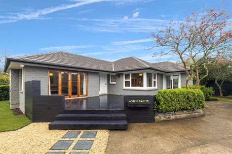 Photo of property in 8 Trist Place, Edgeware, Christchurch, 8013