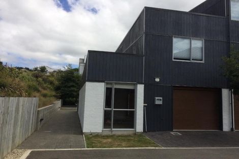 Photo of property in The Altair, 31/120 Rintoul Street, Newtown, Wellington, 6021