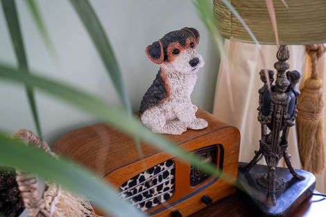 Photo of property in 147 Victoria Street, Cambridge, 3434