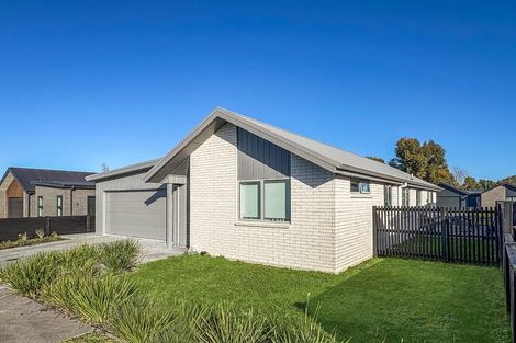 Photo of property in 19 Te Au Rere Crescent, Cambridge, 3434