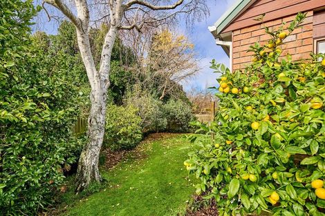 Photo of property in 9a Charleston Avenue, Boulcott, Lower Hutt, 5011