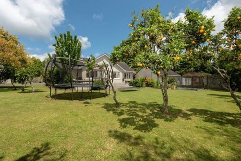 Photo of property in 541 Pyes Pa Road, Pyes Pa, Tauranga, 3173