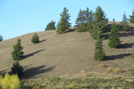 Photo of property in 94 Hillview Road, Alexandra, 9391