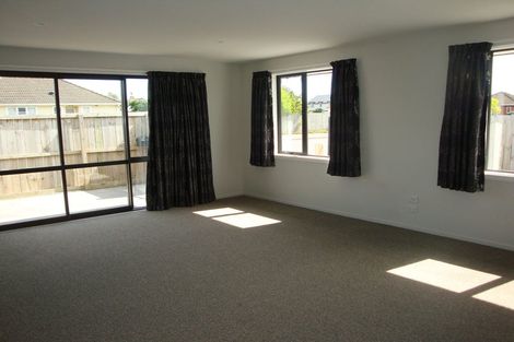Photo of property in 32a Willow Street, Hampstead, Ashburton, 7700
