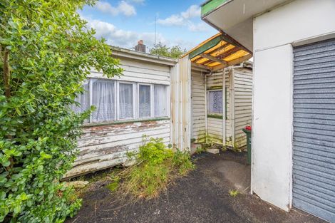 Photo of property in 131 Nixon Street, Hamilton East, Hamilton, 3216