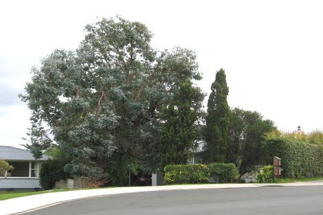 Photo of property in 15 Webb Place, Forrest Hill, Auckland, 0620