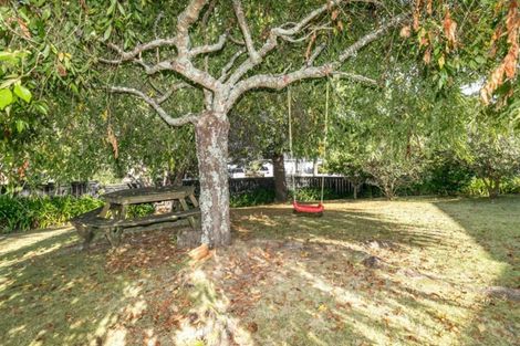 Photo of property in 100 Storey Avenue, Forest Lake, Hamilton, 3200