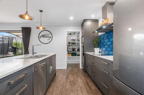 Photo of property in 209 Te Okuroa Drive, Papamoa, 3118