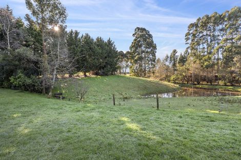 Photo of property in 60 Big Stone Road, Brighton, 9091