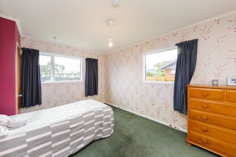 Photo of property in 45 Bamfield Street, Ashhurst, 4810