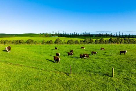 Photo of property in 1000 Redhill Road, Te Kopuru, Dargaville, 0371