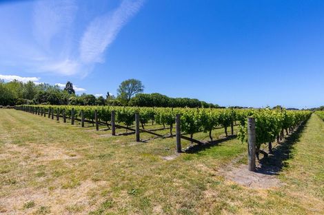 Photo of property in 5 Brook Street, Renwick, 7204