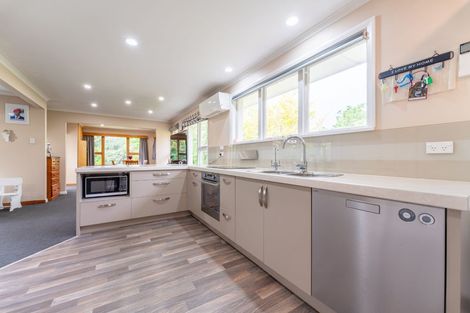 Photo of property in 53 Campbell Street, Geraldine, 7930