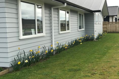 Photo of property in 53 Kingdon Street, Leamington, Cambridge, 3432