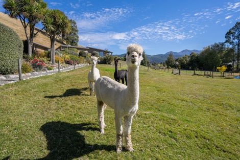 Photo of property in 61 William Stephen Road, Te Anau, 9679