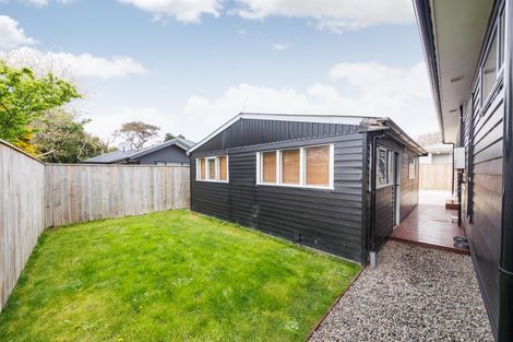 Photo of property in 30a Alfred Street, Roslyn, Palmerston North, 4414