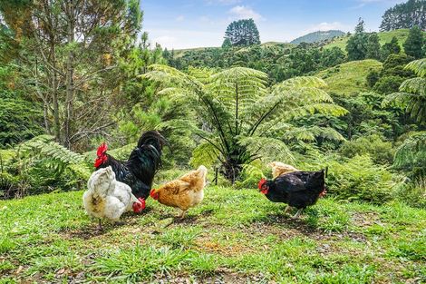 Photo of property in 133 Waipa Heights Road, Ngaruawahia, 3793