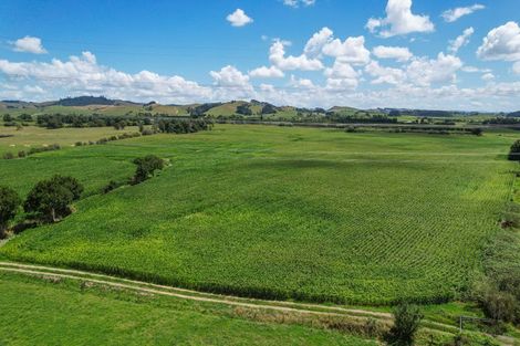 Photo of property in 927 Taniwha Road, Waerenga, Te Kauwhata, 3781