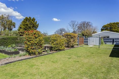 Photo of property in 214 Williams Street, Kaiapoi, 7630
