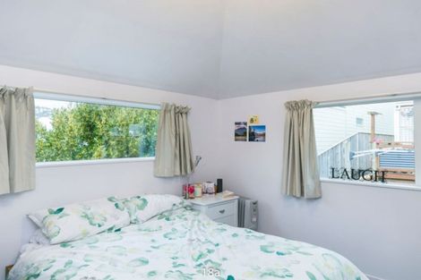 Photo of property in 18 Somerset Avenue, Newtown, Wellington, 6021