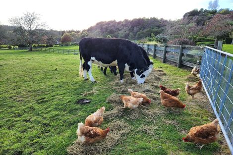 Photo of property in 136 Brunswick Drive, Tikitere, Rotorua, 3074