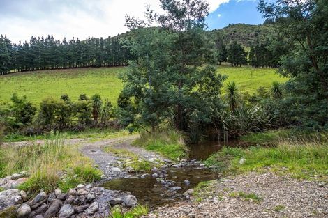 Photo of property in 814 Mikimiki Road, Mikimiki, Masterton, 5881