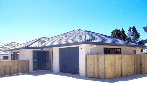 Photo of property in 46 Salisbury Street, Levin, 5510