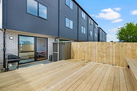 Photo of property in 45 Ivy Nola Way, Henderson, Auckland, 0612